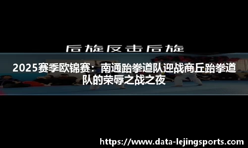 2025赛季欧锦赛：南通跆拳道队迎战商丘跆拳道队的荣辱之战之夜